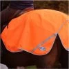 2022 Weatherbeeta 300D Reflective Exercise Sheet 000037 - Orange -Harness Store 1516 Weatherbeeta 300D Reflective Exercise Sheet Orange.700x700