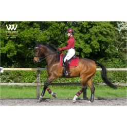 Woof Wear Dressage Saddle Cloth - Shiraz Colour Shiraz -Harness Store 1789 Shiraz201.700x700
