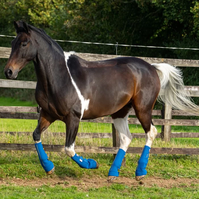 2022 Equilibrium Equi-Chaps Close Contact Chaps EQB1200 - Navy / Yellow 9 2022 Equilibrium Equi-Chaps Close Contact Chaps EQB1200 - Navy / Yellow - Image 7