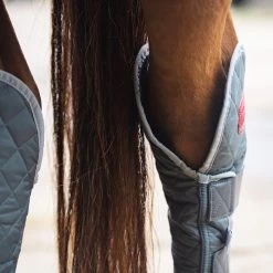 2022 Equilibrium Hind & Hock Magnetic Chaps EQB1186 - Grey -Harness Store 1852 202220Equilibrium20Hind2020Hock20Magnetic20Chaps20EQB118620 20Grey20Close20Up201.700x700