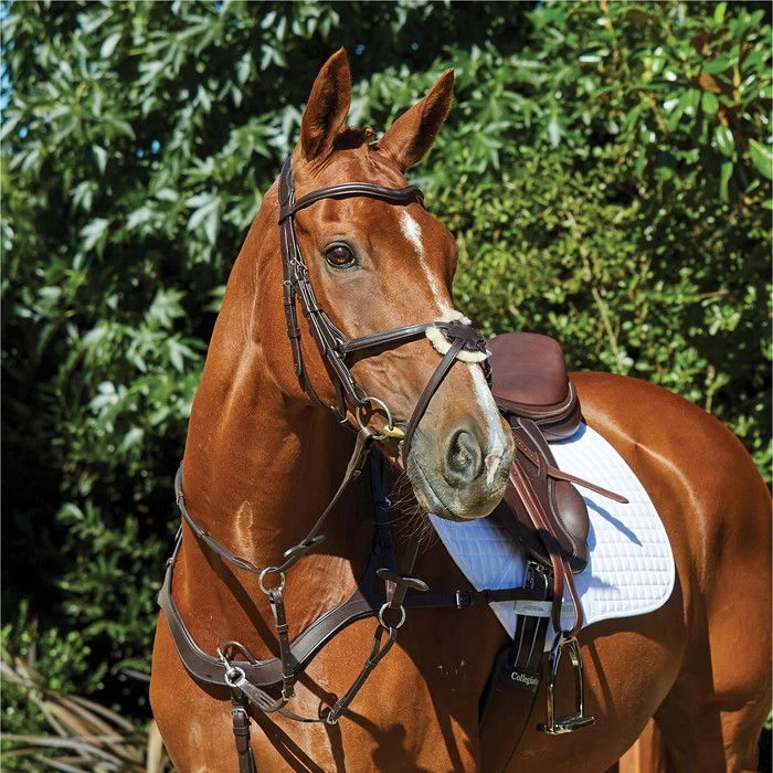 2022 Collegiate Comfitec Grackle Bridle 100637700 - Brown Colour Brown 3 2022 Collegiate Comfitec Grackle Bridle 100637700 - Brown Colour Brown