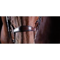 2022 Collegiate Comfitec Crystal Bridle 8077 - Brown -Harness Store 202220Collegiate20Comfitec20Crystal20Bridle20807720 20Brown20Close20Up202.700x700
