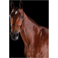 2022 Collegiate Comfitec Crystal Bridle 8077 - Brown