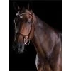 2022 Collegiate Comfitec Patent Bridle 8111 - Brown Colour Brown