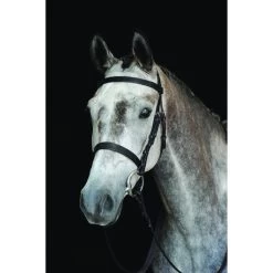 2022 Collegiate Hunt Cavesson Bridle IV 800800 - Black Colour Black