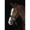 2022 Collegiate Mono Crown Padded Raised Flash Bridle 800902 - Black Colour Black -Harness Store 202220Collegiate20Mono20Crown20Padded20Raised20Flash20Bridle2080090220 20Black.700x700