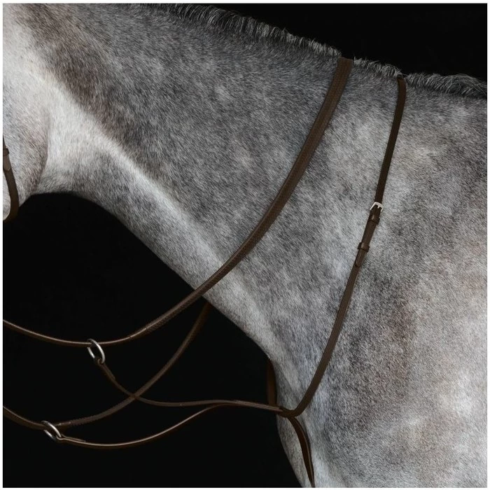 2022 Collegiate Running Martingale IV 800902 - Brown Colour Brown 3 2022 Collegiate Running Martingale IV 800902 - Brown Colour Brown