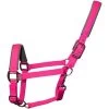 2022 Woof Wear Full Size Contour Head Collar WS0022-BERY-FS - Berry -Harness Store 202220Woof20Wear20Cob20Contour20Head20Collar20WS0022 BERY COB20 20Berry.700x700