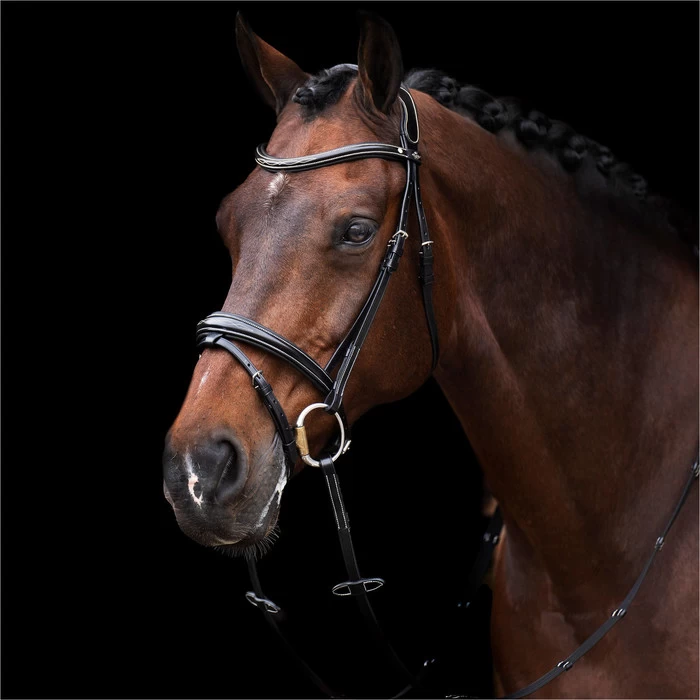 2023 HV Polo Legacy Bridle 1201093500 - Black Colour Black 3 2023 HV Polo Legacy Bridle 1201093500 - Black Colour Black