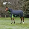 2023 Weatherbeeta Comfitec Classic Combo Neck Medium Turnout Rug 1000423 - Black / Lime Green Colour Black/Lime Green -Harness Store 202320Weatherbeeta20Comfitec20Classic20Combo20Neck20Medium20Turnout20Rug20100042320 20Black20Lime20Green20203.700x700