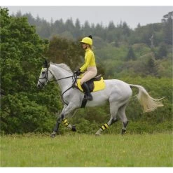 2022 Woof Wear GP Saddle Cloth WS0001 - Sunshine Yellow Colour Sunshine Yellow -Harness Store 2848 DSC 0857.700x700