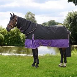 Hy Equestrian Stormx Original 200g Detach-A-Neck Turnout Rug - Black / Purple