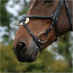 2022 Collegiate Comfitec Grackle Bridle 100637700 - Black Colour Black -Harness Store 3431 202120Collegiate20Comfitec20Grackle20Bridle2010063770020 20Black20detail.700x700