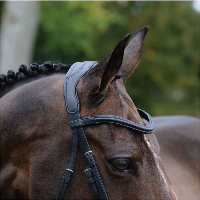 2021 Collegiate Comfitec Vogue Anatomical Bridle 100637600 - Black Colour Black 5 2021 Collegiate Comfitec Vogue Anatomical Bridle 100637600 - Black Colour Black - Image 3