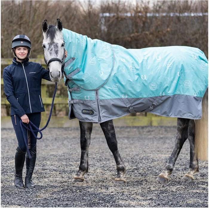 2022 Hy Equestrian StormX Original This Esme 200 Turnout Rug W/ Detachable Neck 35125 - Mint / Grey 3 2022 Hy Equestrian StormX Original This Esme 200 Turnout Rug W/ Detachable Neck 35125 - Mint / Grey