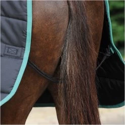 2022 Weatherbeeta Green-Tec Medium-Lite Standard Neck Rug - Black / Green -Harness Store 3971 3971 7.700x700