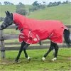 2022 Weatherbeeta Comfitec Classic Medium-Lite Combo Neck Turnout Rug - Red / Silver -Harness Store 3c56e36f1a6cda77c5882c094bb7b2a4 33.700x700