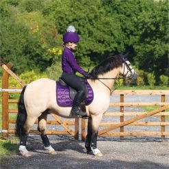 2022 Woof Wear Vision GP Saddle Pad WS0009 - Damsen Purple Colour Damsen Purple -Harness Store 4638 Damson20Vision20320 20low20res.700x700