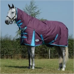 2023 Weatherbeeta Comfitec Essential Combo Neck Medium Turnout Rug 10004151 - Grape Purple / Blue Colour Blue/Grape Purple -Harness Store 4899 202220Weatherbeeta20Comfitec20Essential20Combo20Neck20Medium20Rug201000415120 20Grape20Purple20Blue2.700x700