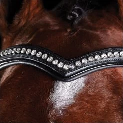 Harness Store -Harness Store 5218 202220Collegiate20Comfitec20Patent20Bridle20811120 20Black2.700x700