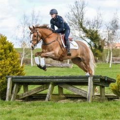 2022 Equilibrium Tri-Zone Impact Sports Boots Front EQB10 - White -Harness Store 5587 202220Equilibrium20Tri Zone20Impact20Sports20Boots20EQB1020 20White20Main20Lifestyle203.700x700 1