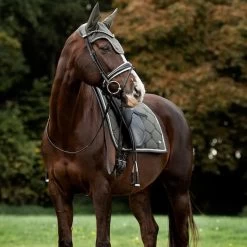 2022 PS Of Sweden Signature Dressage Cotton Saddle Pad 1110-022 - Forest Green -Harness Store 5637 202220PS20Of20Sweden20Signature20Dressage20Cotton20Saddle20Pad201110 02220 2020Forest20Green20Lifestyle203.700x700