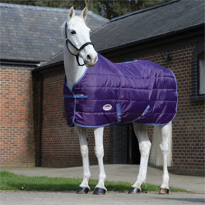 2023 Weatherbeeta Comfitec 210D Channel Quilt Standard Neck Medium / Lite 1002065049 - Violet / Blue 3 2023 Weatherbeeta Comfitec 210D Channel Quilt Standard Neck Medium / Lite 1002065049 - Violet / Blue - Image 2