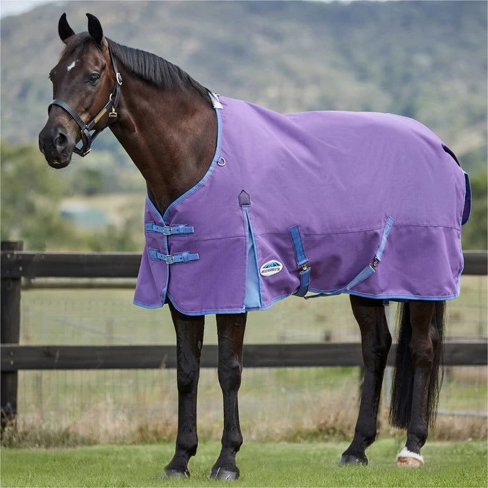 2023 Weatherbeeta Comfitec Essential Standard Neck Lite 100042107 - Violet / Blue 4 2023 Weatherbeeta Comfitec Essential Standard Neck Lite 100042107 - Violet / Blue - Image 2