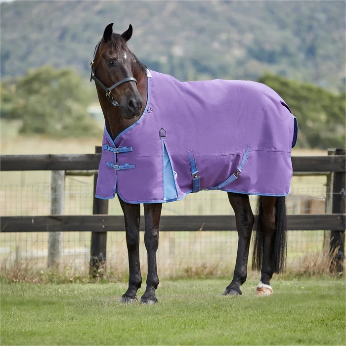 2023 Weatherbeeta Comfitec Essential Standard Neck Lite 100042107 - Violet / Blue 5 2023 Weatherbeeta Comfitec Essential Standard Neck Lite 100042107 - Violet / Blue - Image 3