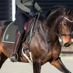 2023 PS Of Sweden Elite Dressage Saddle Pad 1110038665 - Dark Green -Harness Store 6074 202320PS20of20Sweden20Elite20Dressage20Saddle20Pad20111003866520 20Dark20Green20Lifestyle.700x700