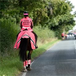 2023 Equisafety Hi-Vis Waterproof Wrap Around Exercise Rug WRUG - Pink 7 2023 Equisafety Hi-Vis Waterproof Wrap Around Exercise Rug WRUG - Pink -Harness Store 6120 202320Equisafety20Hi Vis20Waterproof20Wrap20Around20Exercise20Rug20WRUG20 20Pink 20Lifestyle.700x700