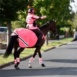 2023 Equisafety Hi-Vis Waterproof Wrap Around Exercise Rug WRUG - Pink 6 2023 Equisafety Hi-Vis Waterproof Wrap Around Exercise Rug WRUG - Pink -Harness Store 6120 202320Equisafety20Hi Vis20Waterproof20Wrap20Around20Exercise20Rug20WRUG20 20Pink20Lifestyle202.700x700