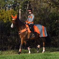 2023 Equisafety Mercury Reflective Exercise Rug MRUG-RO - Orange Colour Orange 7 2023 Equisafety Mercury Reflective Exercise Rug MRUG-RO - Orange Colour Orange -Harness Store 6121 202320Equisafety20Mercury20Reflective20Exercise20Rug20MRUG RO20 20Orange 20Lifestyle.700x700