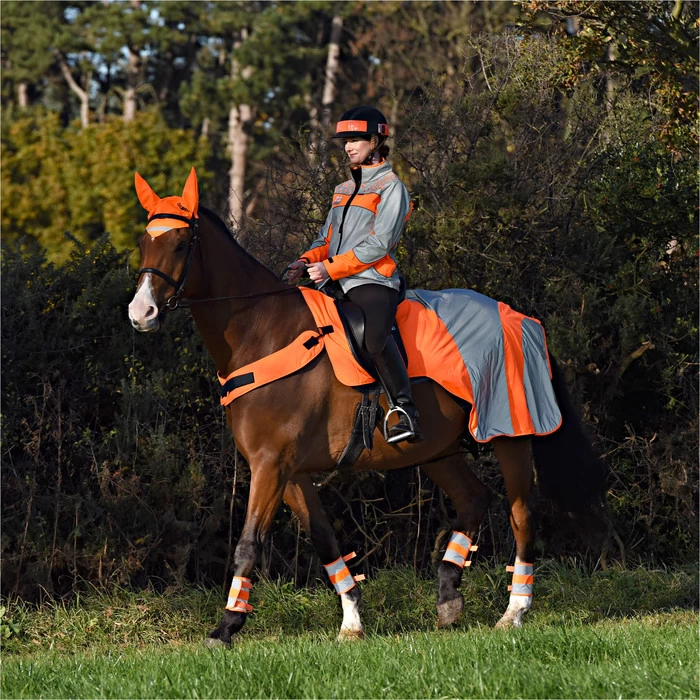2023 Equisafety Mercury Reflective Exercise Rug MRUG-RO - Orange Colour Orange 5 2023 Equisafety Mercury Reflective Exercise Rug MRUG-RO - Orange Colour Orange - Image 3