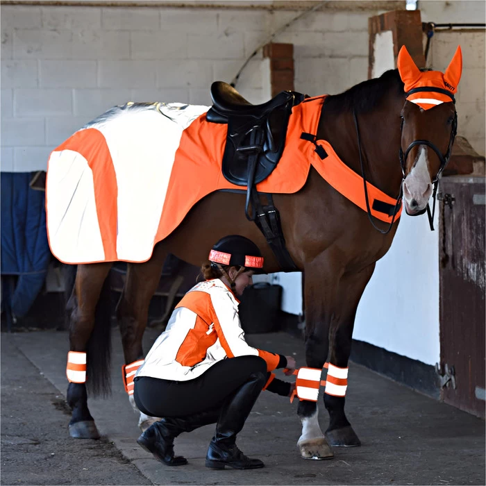 2023 Equisafety Mercury Reflective Exercise Rug MRUG-RO - Orange Colour Orange 4 2023 Equisafety Mercury Reflective Exercise Rug MRUG-RO - Orange Colour Orange - Image 2