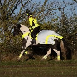 2023 Equisafety Mercury Reflective Exercise Rug MRUG-RO - Yellow Colour Yellow -Harness Store 6122 202320Equisafety20Mercury20Reflective20Exercise20Rug20MRUG RO20 20Yellow 20Lifestyle.700x700