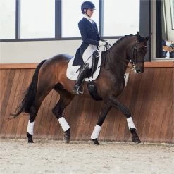 2023 Eskadron Highgloss Peacock Saddle Cloth 214731 544 - White Colour White 10 2023 Eskadron Highgloss Peacock Saddle Cloth 214731 544 - White Colour White -Harness Store 6273 202320Eskadron20Highgloss20Peacock20Saddle20Cloth202147312054420 20White20Lifestyle203.700x700