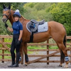 2023 Woof Wear Club Brushing Boots WB0003 - Black / Porcelain Blue Colour Black/Porcelain Blue -Harness Store 6306 Porcelain202.700x700