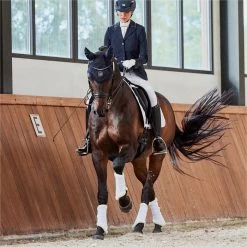 2023 Eskadron Glossy Crystal Saddle Cloth & Mesh Evo-Wool Tendon Boots Bundle 218131555131 - White -Harness Store 6326 632620Lifestyle202.700x700