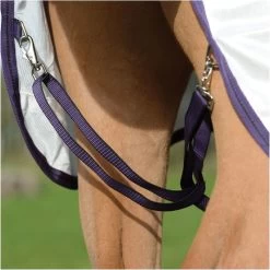 2023 Weatherbeeta Comfitec Essential Fly Rug With FREE Fly Mask WFRFM2 - Grey / White / Maroon -Harness Store 6371 202320Weatherbeeta20Comfitec20Essential20Mesh20II20Combo20Neck20100044116620 20WhiteMarron20Grey20close203.2000x2000.700x700