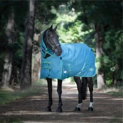 2023 Weatherbeeta Green-Tec 1200D Detach-A-Neck Lite Plus Turnout Rug - Dragonfly Blue / Bottle Green -Harness Store 6379 202320Weatherbeeta20Green Tec201200D20Detach A Neck20Lite20Plus20Turnout20Rug20 20Dragonfly20Blue202.700x700