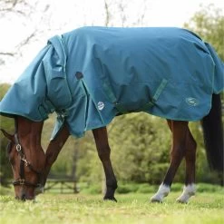 2023 Weatherbeeta Green-Tec 1200D Detach-A-Neck Lite Plus Turnout Rug - Dragonfly Blue / Bottle Green -Harness Store 6379 202320Weatherbeeta20Green Tec201200D20Detach A Neck20Lite20Plus20Turnout20Rug20 20Dragonfly20Blue203.700x700