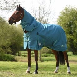 2023 Weatherbeeta Green-Tec 1200D Detach-A-Neck Lite Plus Turnout Rug - Dragonfly Blue / Bottle Green -Harness Store 6379 202320Weatherbeeta20Green Tec201200D20Detach A Neck20Lite20Plus20Turnout20Rug20 20Dragonfly20Blue204.700x700
