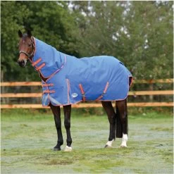 2023 Weatherbeeta Comfitec Plus Dynamic II Detach-A-Neck Medium Turnout Rug 10069170 - Royal Blue / Bright Orange Colour Royal Blue/Bright Orange -Harness Store 6384 202320Weatherbeeta20Comfitec20Plus20Dynamic20II20Detach A Neck20Medium20Turnout20Rug201006917020 20Royal20Blue2020Bright20Orange202.700x700