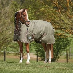 2023 Weatherbeeta Comfitec Essential Combo Neck Medium Turnout Rug 10004151 - Olive Green / Burgundy / White Colour Olive Green / Burgundy / White -Harness Store 6385 202320Weatherbeeta20Comfitec20Essential20Combo20Neck20Medium20Turnout20Rug201000415120 20Olive20Green2020Burgundy2020White202.700x700