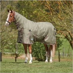 2023 Weatherbeeta Comfitec Essential Combo Neck Medium Turnout Rug 10004151 - Olive Green / Burgundy / White Colour Olive Green / Burgundy / White -Harness Store 6385 202320Weatherbeeta20Comfitec20Essential20Combo20Neck20Medium20Turnout20Rug201000415120 20Olive20Green2020Burgundy2020White203.700x700