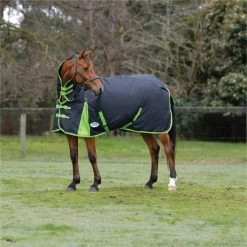 2023 Weatherbeeta Comfitec Classic Combo Neck Medium Turnout Rug 1000423 - Black / Lime Green Colour Black/Lime Green -Harness Store 6387 202320Weatherbeeta20Comfitec20Classic20Combo20Neck20Medium20Turnout20Rug20100042320 20Black20Lime20Green20202.700x700