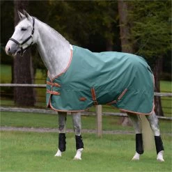 2023 Weatherbeeta Comfitec Tyro Combo Neck Medium Turnout Rug 1021798 - Green / Burnt Orange / White -Harness Store 6388 202320Weatherbeeta20Comfitec20Tyro20Combo20Neck20Medium20Turnout20Rug20102179820 20Green2020Burnt20Orange2020White202.700x700