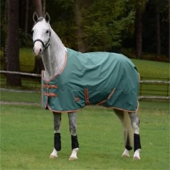 2023 Weatherbeeta Comfitec Tyro Standard Neck Lite Plus Turnout Rug 1021801 - Green / Burnt Orange / White -Harness Store 6390 202320Weatherbeeta20Comfitec20Tyro20Standard20Neck20Lite20Plus20Turnout20Rug20102180120 20Green2020Burnt20Orange20White202.700x700
