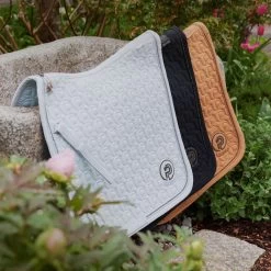 2023 Eskadron Platinum Softshell Saddle Cloth 215539520310 - Black Colour Black -Harness Store 6576 202320Eskadron20Platinum20Softshell20Saddle20Cloth2021553952031020 20Black20Lifestyle202.700x700